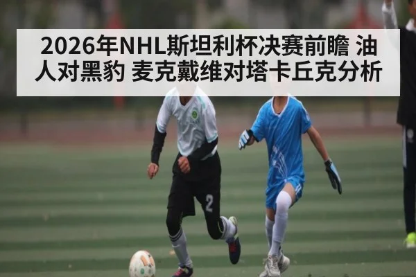 2026年NHL斯坦利杯决赛前瞻 油人对黑豹 麦克戴维对塔卡丘克分析